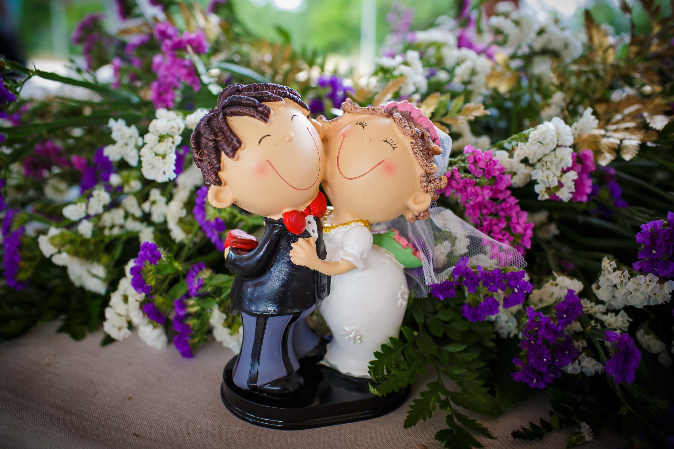 Boda en Villa Santa Ana Zaragoza, Sandra y Angel.