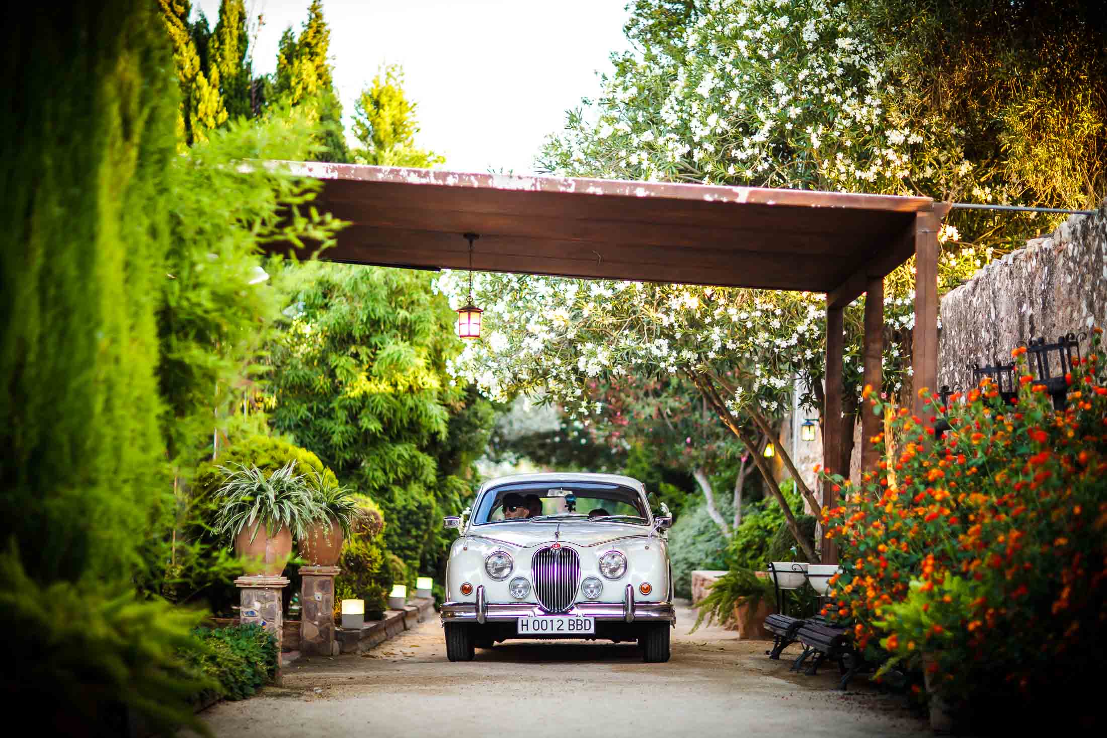 REPORTAJE BODA EN CAPILLA SANTO CALIZ VALENCIA Y JARDINES LA CARTUJA VALENCIA