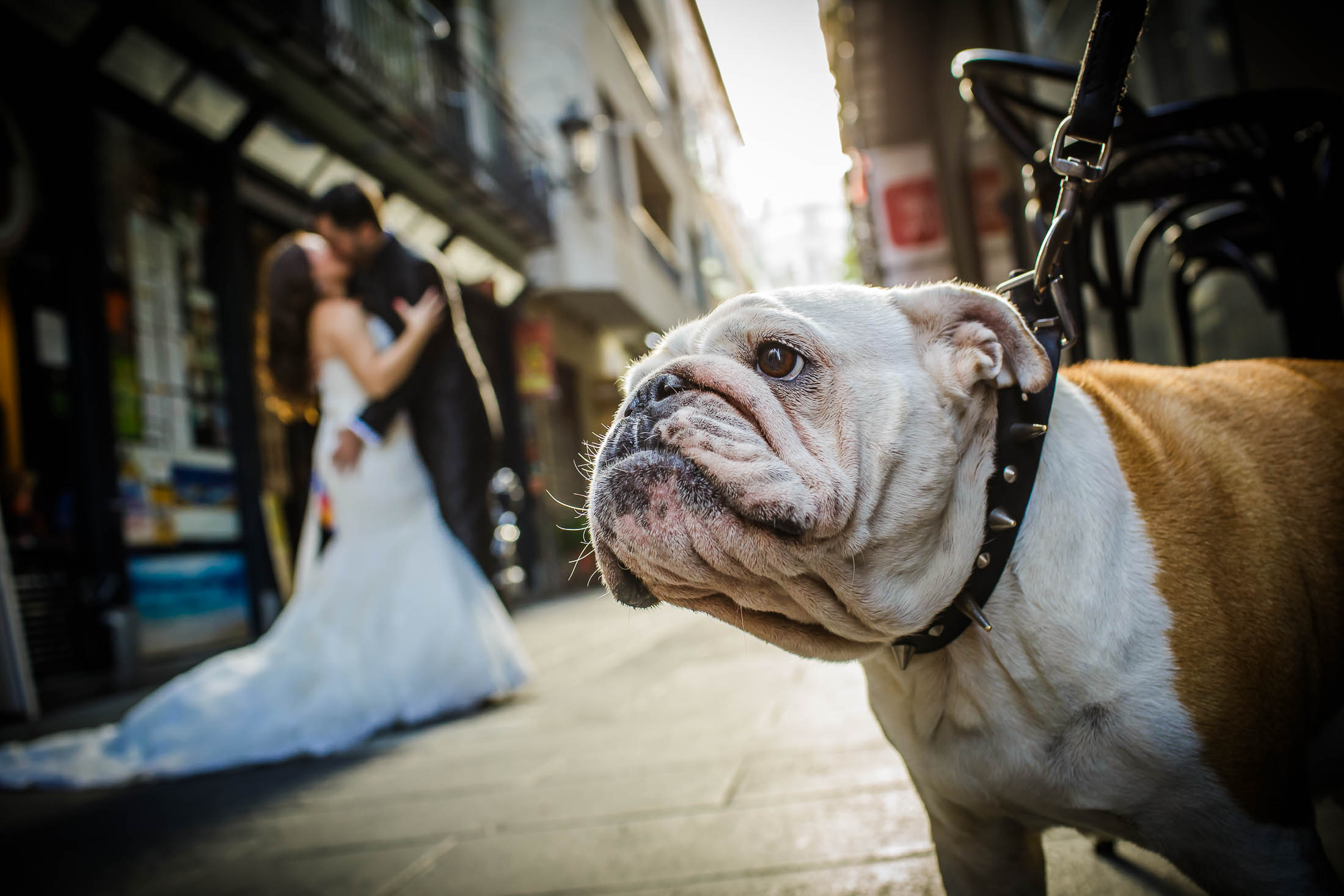 Post Boda en Valencia Lydia y Toni. Christian Roselló Fotógrafo de Bodas en Valencia